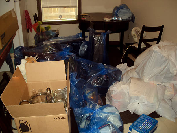 Yard Cleanup Services in Mesa, AZ